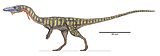 Mesurant environ 3 mètres de long, le coelophysis a été un des tous premiers dinosaures du Trias jamais découvert, par Edward Drinker Cope, en 1889. C'était un dinosaure carnivore. Il a vécu d'il y a 230 millions d'années, à il y a 200 millions d'années.