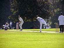 A game of cricket at Vancouver's Stanley Park.