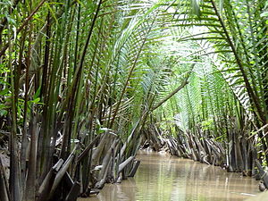 Daratan Asia Kidul Wétan: Istilah, Lokasi, Iklim