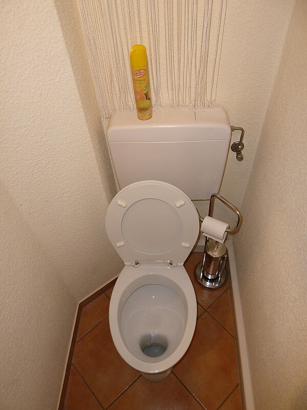 A washout toilet which holds fecal matter in a shallow depression until flushed.