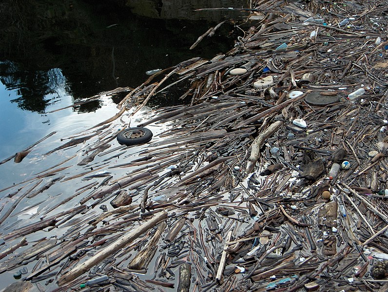 File:Dam-pollution.JPG