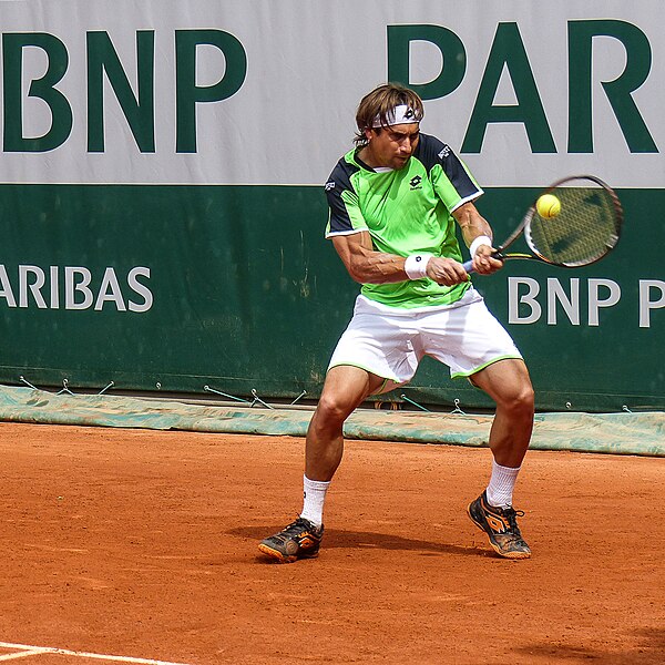David Ferrer à Roland-Garros en 2013.