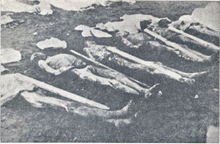 Dead inmates at Italy's Rab concentration camp in modern-day Croatia. The camp held mostly Slavs, specifically Croats and Slovenes Dead inmates at the Rab concentration camp.png