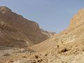 Desert Masada IL WV.JPG