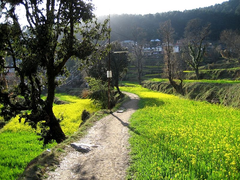 File:Dharamkot in Dharamsala.jpg