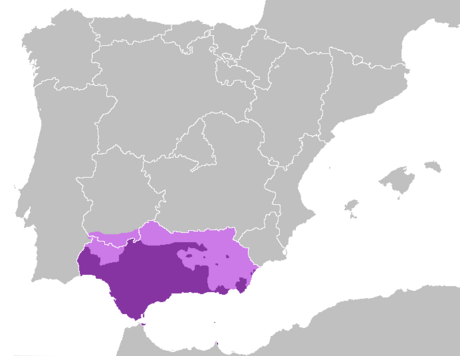 Andaluziera