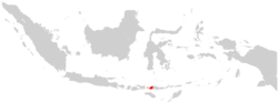 Gambar mini seharga Keuskupan Labuan Bajo