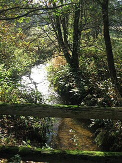 Dohrener Mühlenbach on Seggernweg