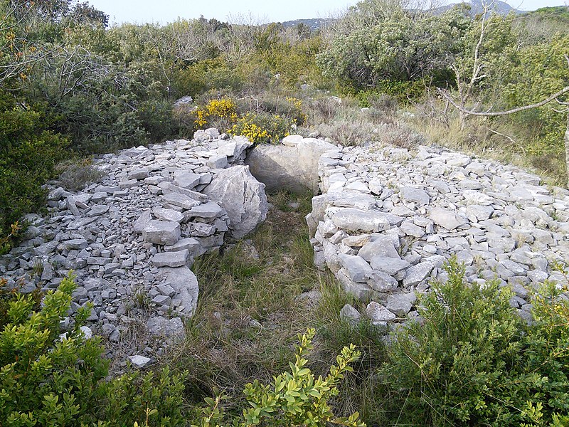 File:Dolmen de la limite 2 (1).jpg