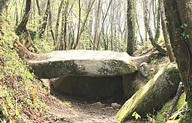 Dolmen du Pouey Mayou.