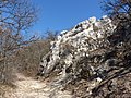 Dolomite rocks in the side of Nagy-Kevély.JPG