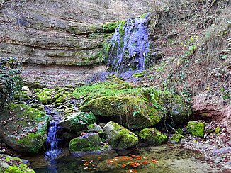 Waterfall in the Bachtobel