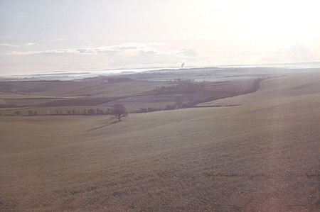 Dorset downs