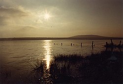 Sazlıklı bir göl ve ötesinde bir tepe