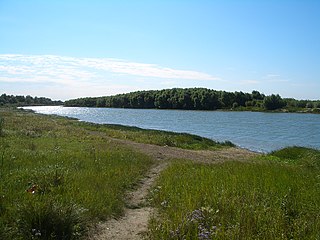 Cherlaksky District District in Omsk Oblast, Russia