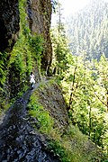 A hiking trail in Oregon