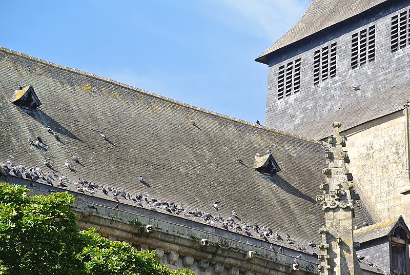 File:Eglise Saint-Malo de Dinan-4265.jpg