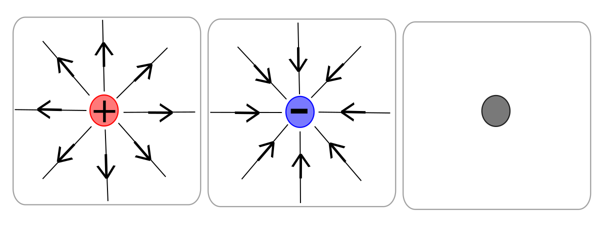 what do magnetic field lines show