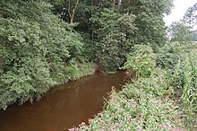 Der Emsdettener Mühlenbach kurz nach dem Zusammenfluss seiner Quellbäche