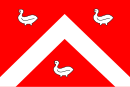 Ens vlag