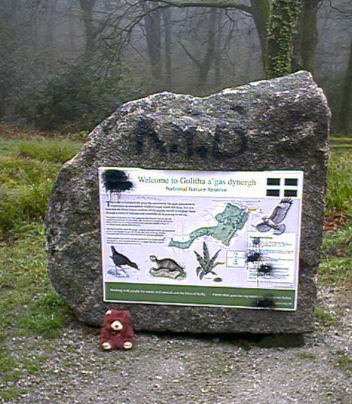 Entrance to Golitha Woods