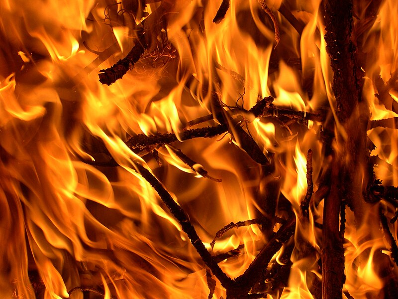 File:FIRE 01.JPG