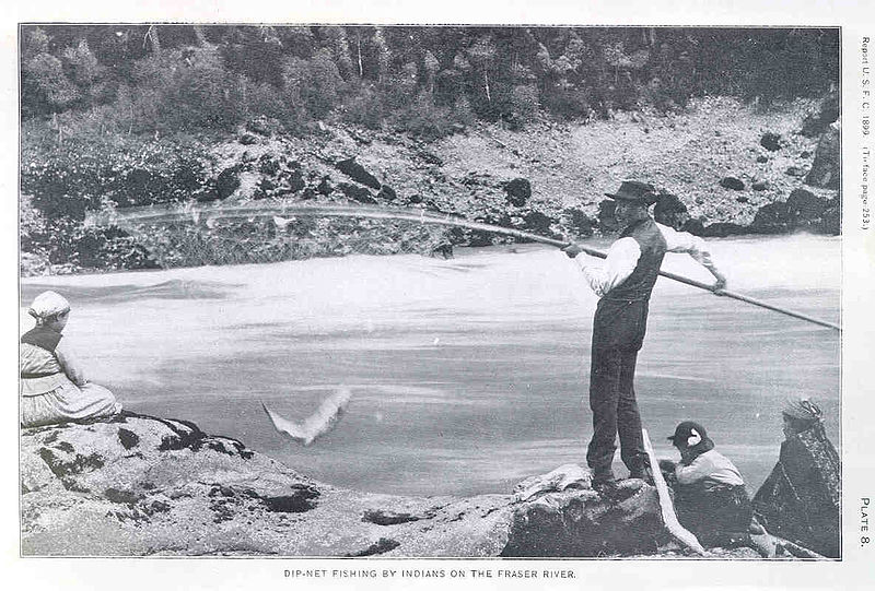 File:FMIB 33297 Dip-Net Fishing by Indians on the Fraser River.jpeg