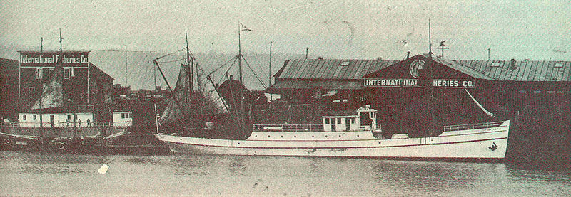 File:FMIB 44498 Plant of the International Fish Co at Tacoma, Showing Halibut Steamers at the Dock.jpeg