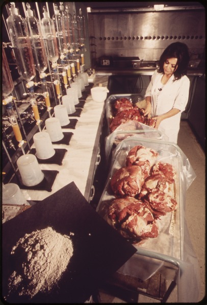 File:FROM RED MEAT TO ASH-A FOUR WEEK LABORATORY PROCEDURE FOR MEASURING GAMMA RADIATION AT EPA'S LAS VEGAS NATIONAL... - NARA - 548867.tif