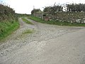 Farm road to Fferm Bryncian - geograph.org.uk - 1035960.jpg