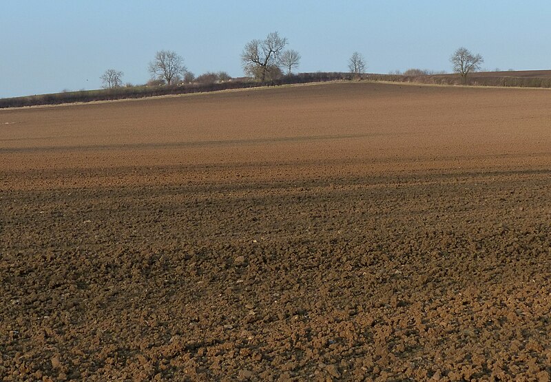 File:Farmland west of the village of Blaston - geograph.org.uk - 3372633.jpg