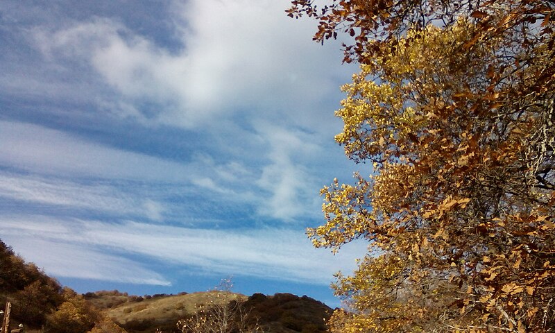 File:Feather clouds.jpg