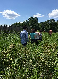 A continental-scale research platform for long-term study of the effects of climate change, land-use change and invasive species on ecological systems (research site in Front Royal, Virginia, U.S.) Field visit to NEON research site in Front Royal, Virginia (25533860793).jpg