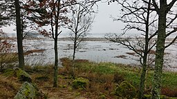 Fläcksjön i början av november sedd från Fläckebo hembygdsgård.