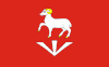 Flag of Baranów commune.gif