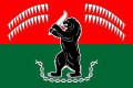 Flag of Kalevala.svg
