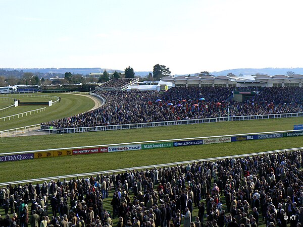 Cheltenham racecourse in 2010