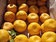 地中海红橘（英语：Citrus × deliciosa） Willowleaf mandarin