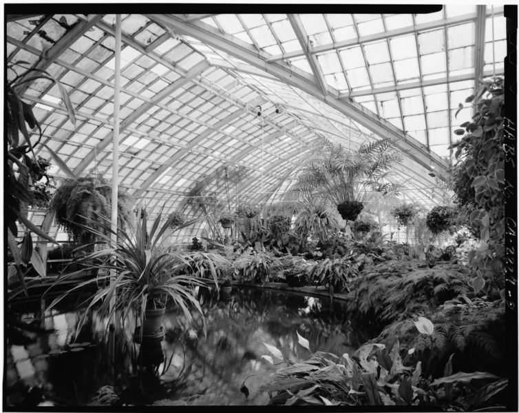 File:GLASS ROOF IN HYPHEN - Golden Gate Park, Conservatory, Golden Gate Park, San Francisco, San Francisco County, CA HABS CAL,38-SANFRA,147-9.tif