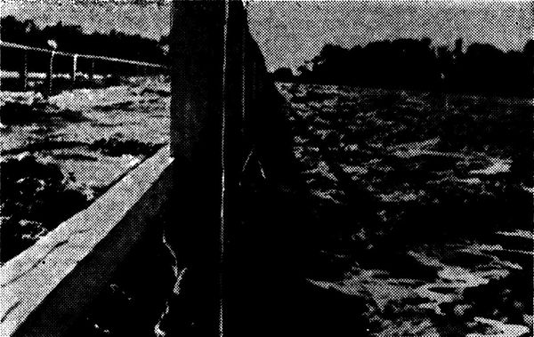 The flooded Gascoyne River in Carnarvon, 1942, with water rushing over the deck of the bridge. During such floods, roads could become bogs or be compl