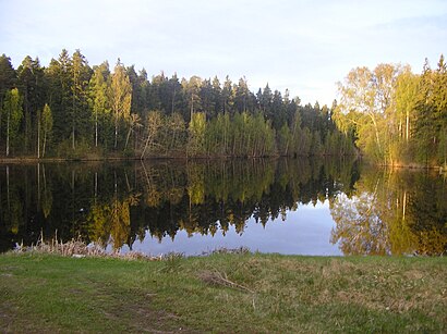 How to get to Hagaström with public transit - About the place