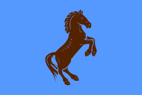 General People's Congress flag.svg