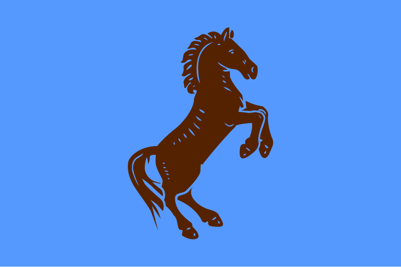 File:General People's Congress flag.svg