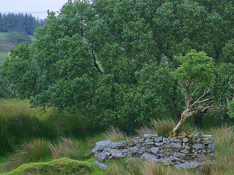 File:Glengesh pass in Ireland landscape.jpg