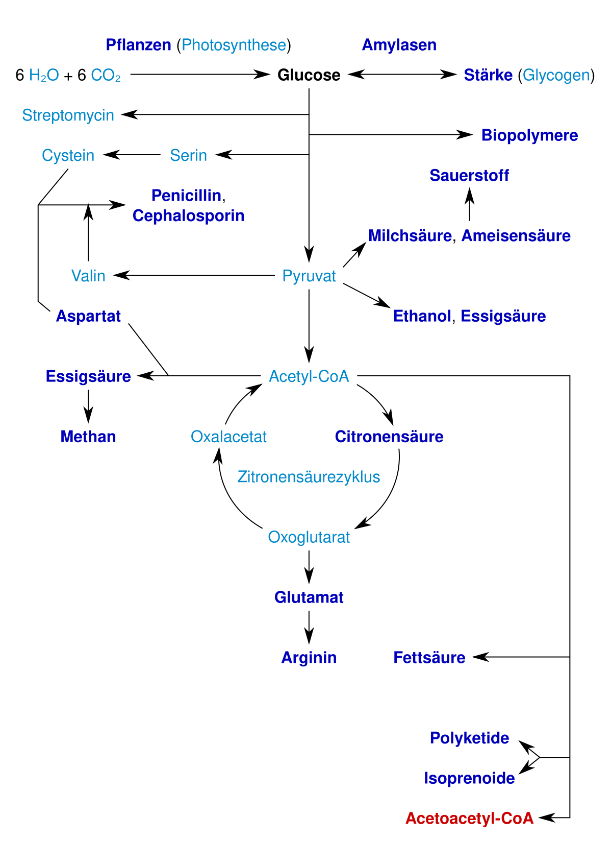 Datei:Verwendung Zucker in D.svg – Wikibooks, Sammlung freier Lehr