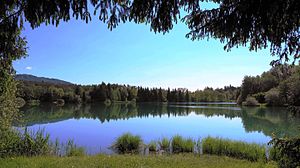 Grünsee - natural jewel in Villach Seebach.jpg