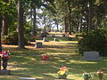A glimpse of the large Greenwood Memorial Park Cemetery in Pineville