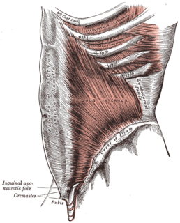 Fasciitis