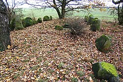 A grande sepultura de pedra Frauenmark 1