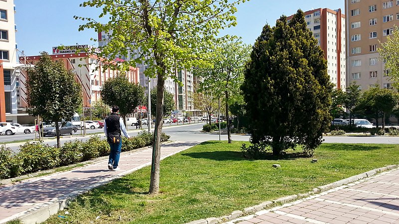 File:Hürriyet Caddesi Esenyurt - Beylikdüzü Bölgesi - panoramio (1).jpg